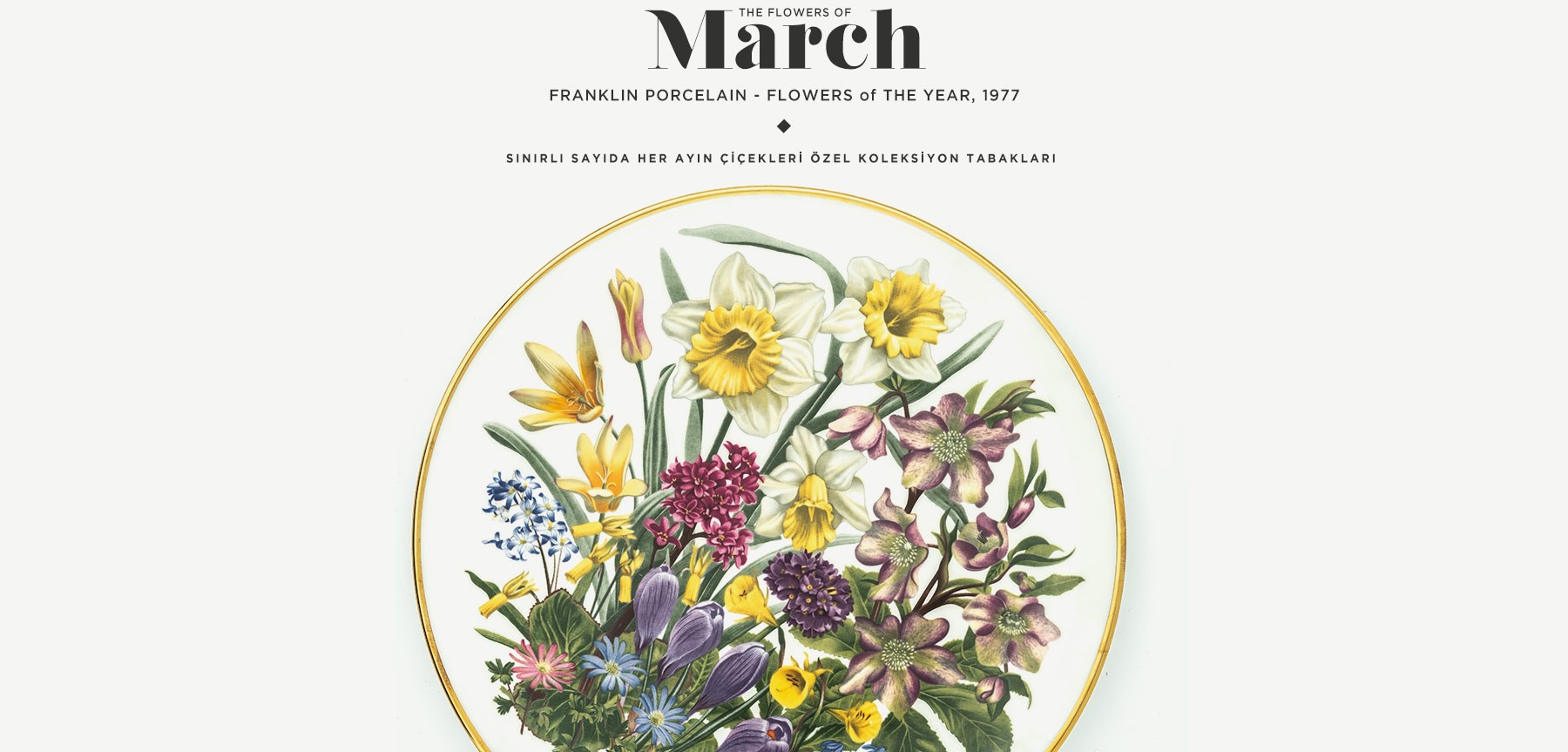 mart'ta açan çiçekler the flowers of march'in resmi
